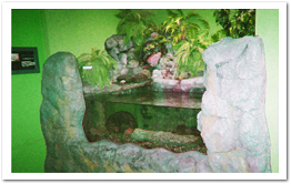 擬岩装飾の施された水槽